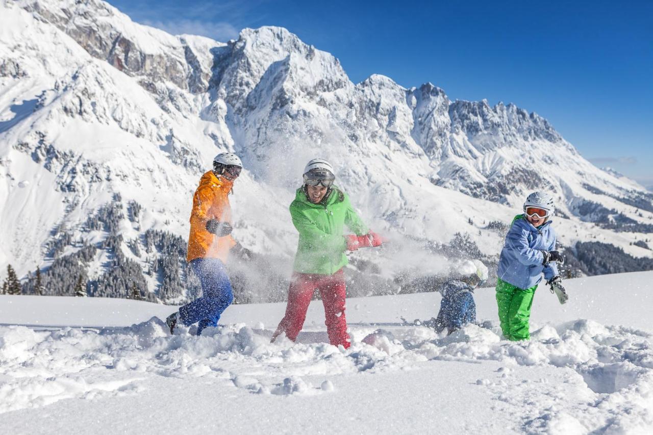 Haus Schneeberg Mit Hochkoenig Card Daire Mühlbach am Hochkönig Dış mekan fotoğraf