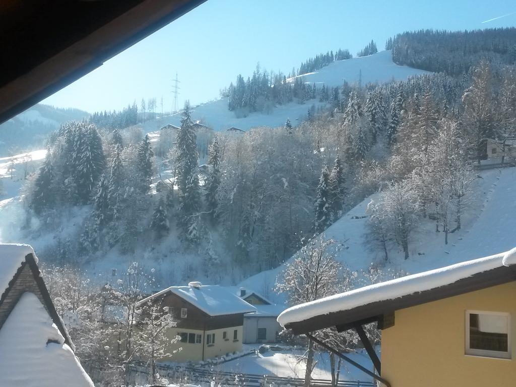 Haus Schneeberg Mit Hochkoenig Card Daire Mühlbach am Hochkönig Dış mekan fotoğraf